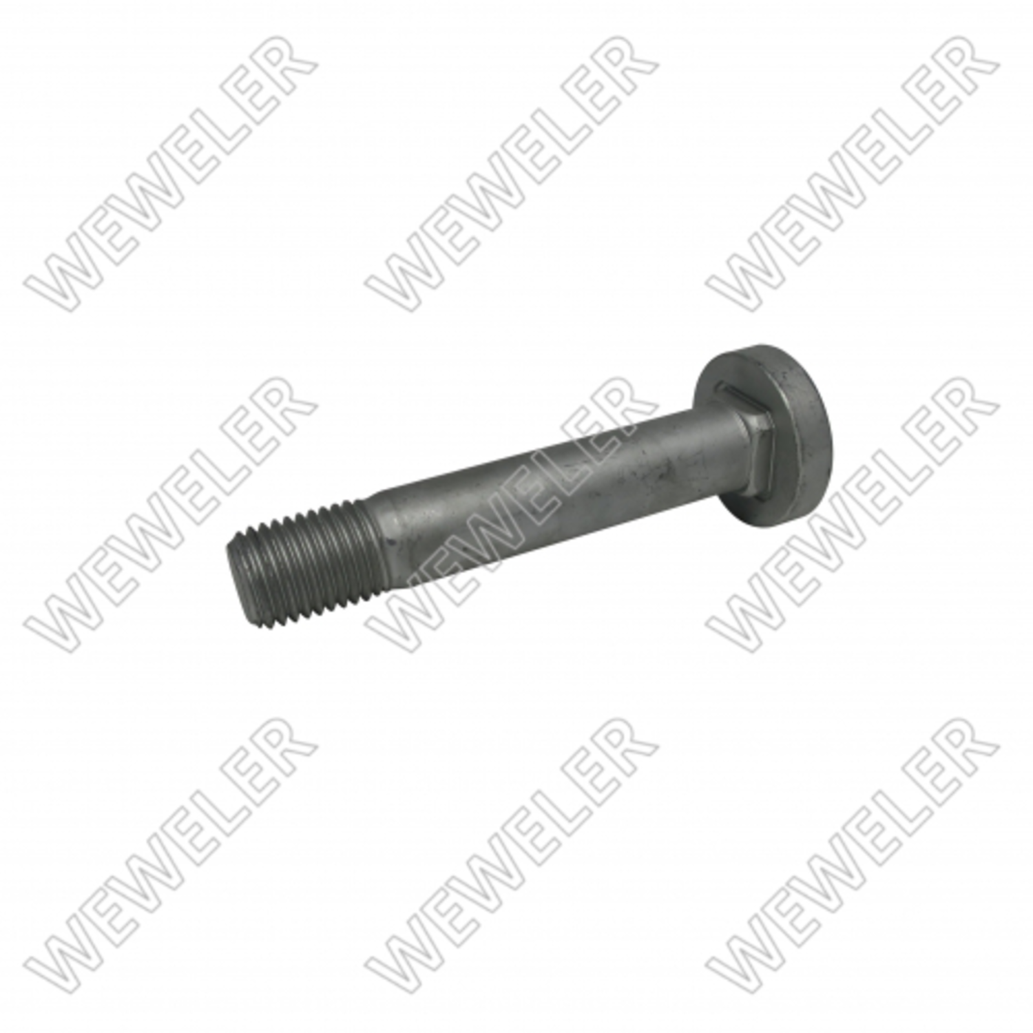 BULT M24X2.00/166