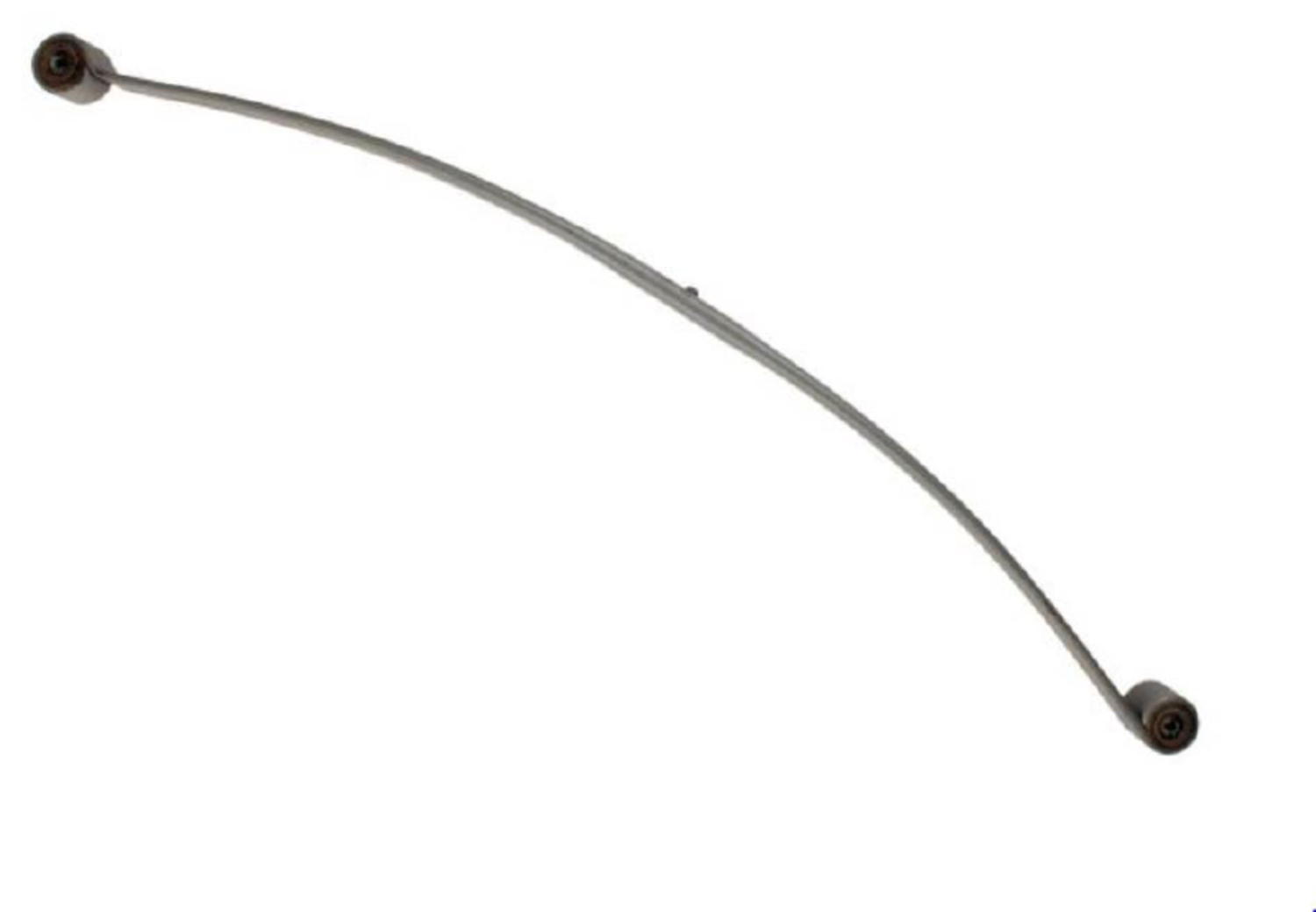 BLADFJÄDER 1 BLADIG