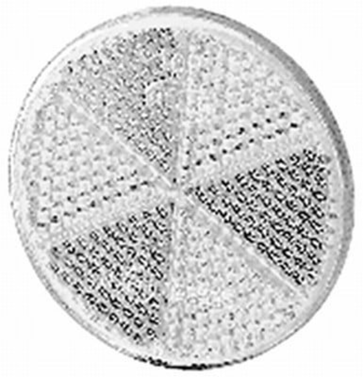 REFLEX RUND VIT 60MM, SJÄLVHÄFTANDE