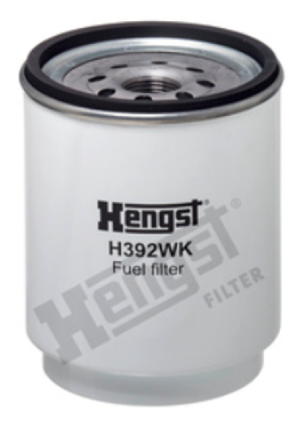 BRÄNSLEFILTER( alt. P551838)